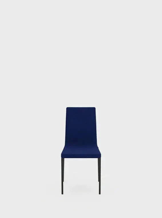 Barsessel merit.05