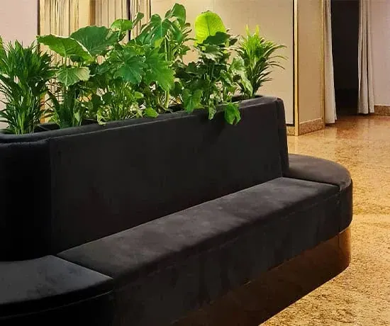 Loungesofa placid.21 Ansicht 4