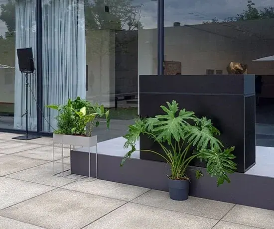 Deko plant.04 Ansicht 4