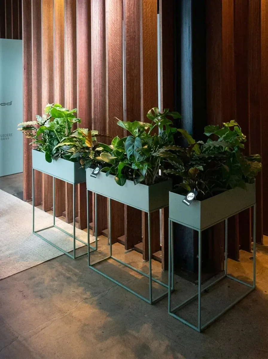 Deko plant.04 Ansicht 2
