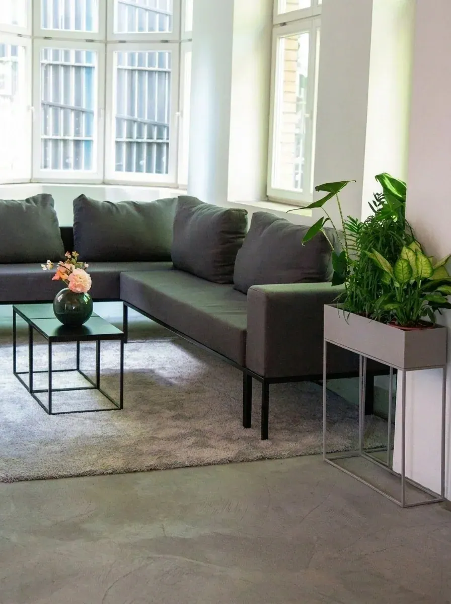 Deko plant.04 Ansicht 2