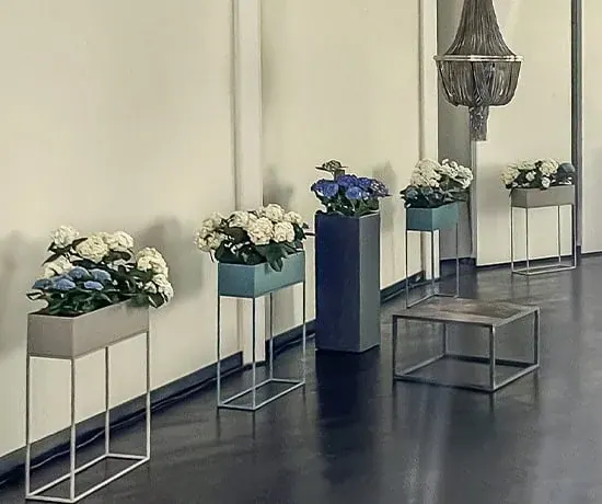 Deko plant.04 Ansicht 6