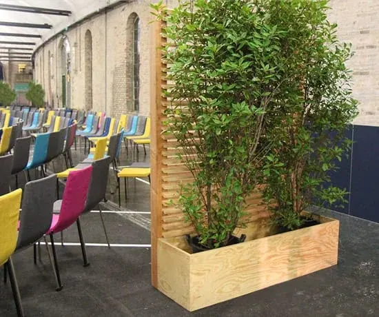 Room wall-plant Ansicht 4