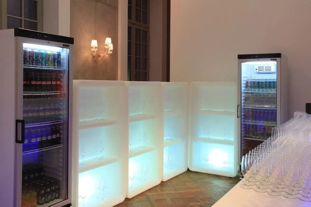 Kühlschrank mit Glastür 360 ltr fahrbar Ansicht 2