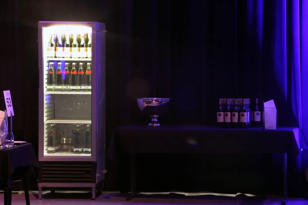 Kühlschrank mit Glastür 360 ltr fahrbar mit 3 Einlegeböden Ansicht 2