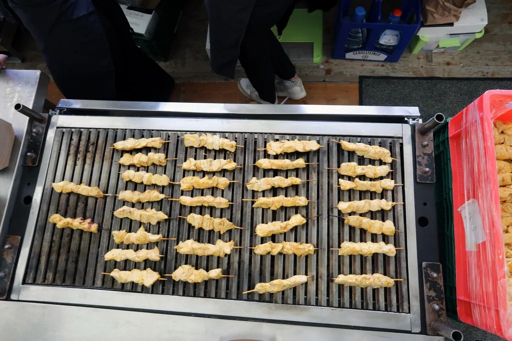 Gasgrill auf Rädern mit Dach und Abzugshaube Ansicht 2