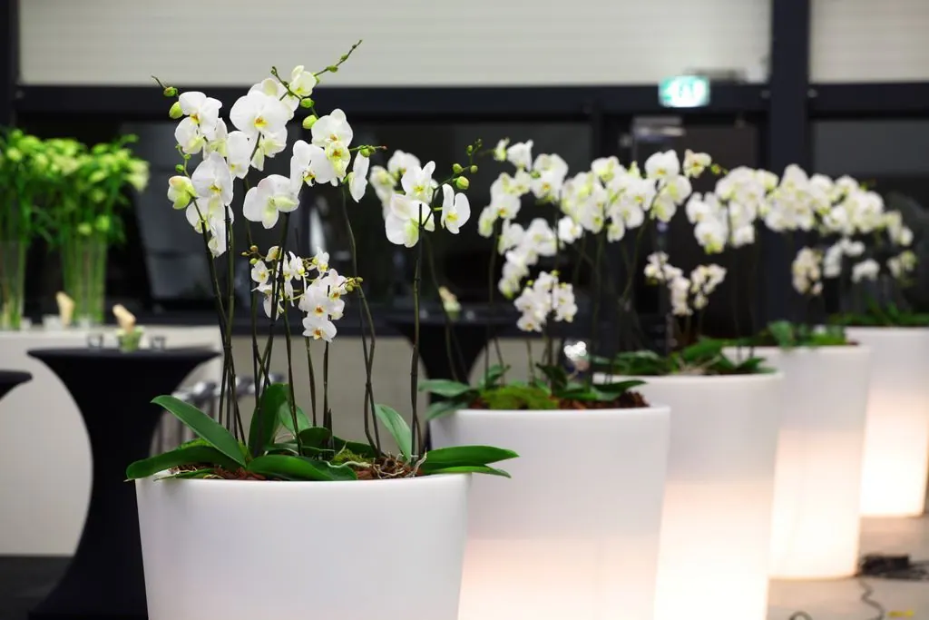 Vase mit LED Akku Lichteinheit Ansicht 3