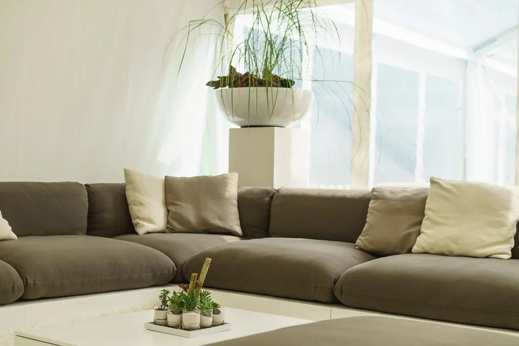 Sofa-Kissen Velours 45 45 Ansicht 3