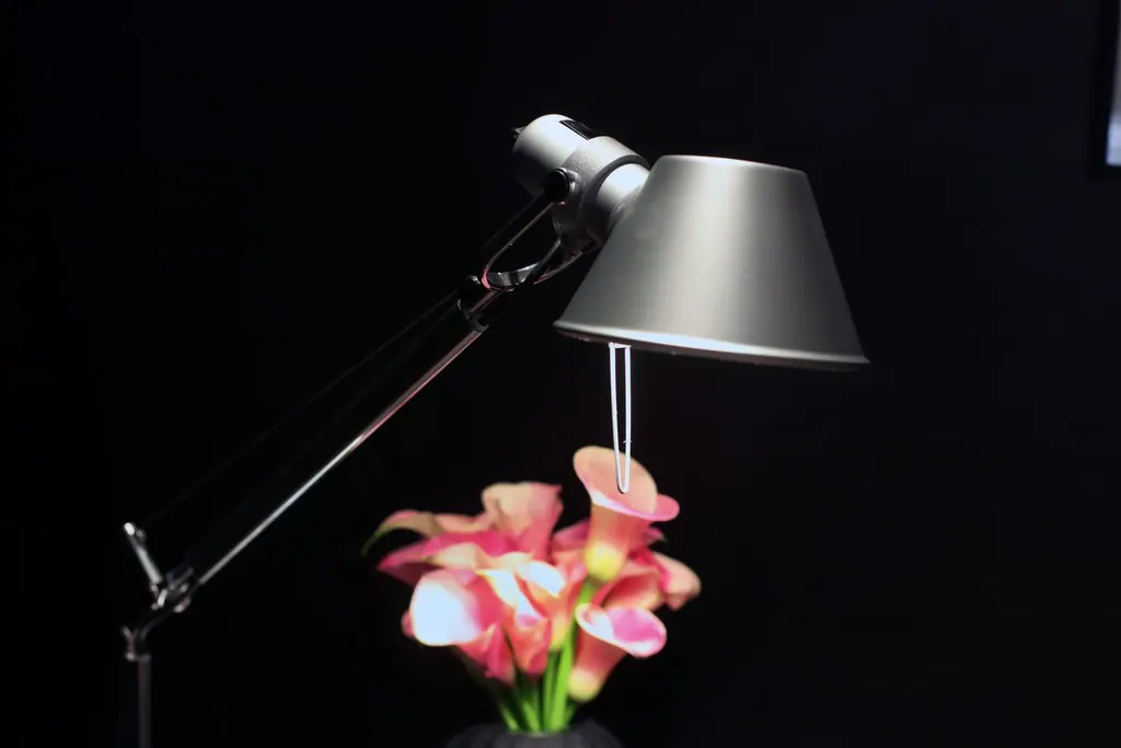 Tischleuchte Tolomeo Mini Tavolo 230V/70W Ansicht 2