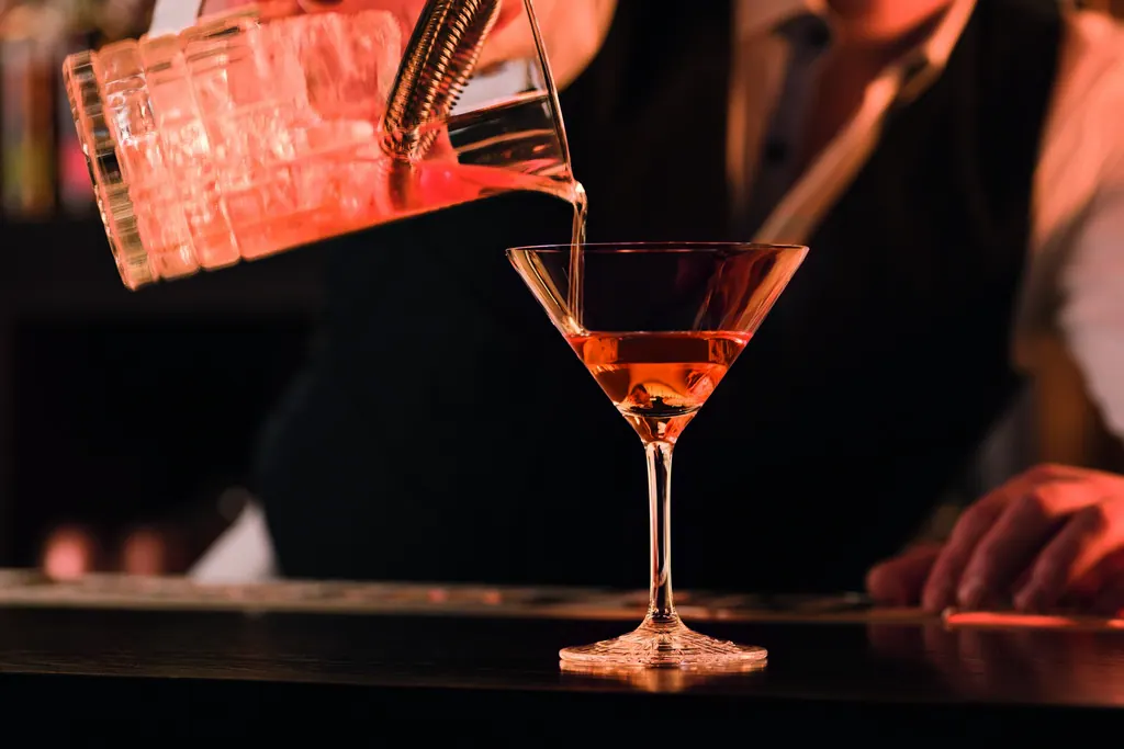 Martini Perfect Serve 17 cl Ansicht 2