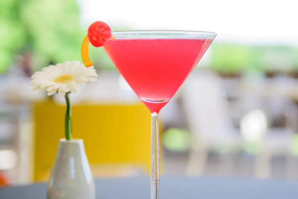 Martini Perfect Serve 17 cl Ansicht 4