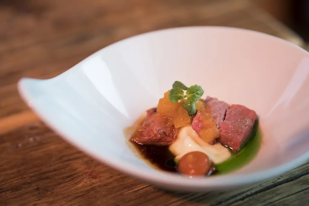Schale Free Spirit Flying 15 17 Ansicht 4