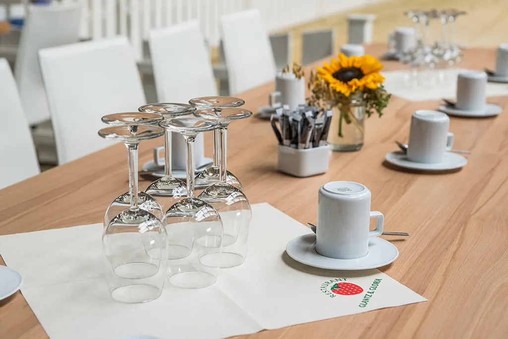 Untertasse Kombi Basic Ansicht 2