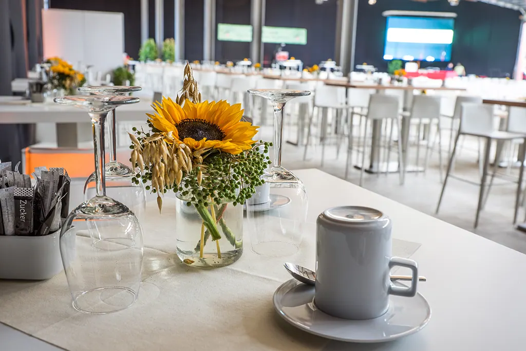Untertasse Kombi Basic Ansicht 3