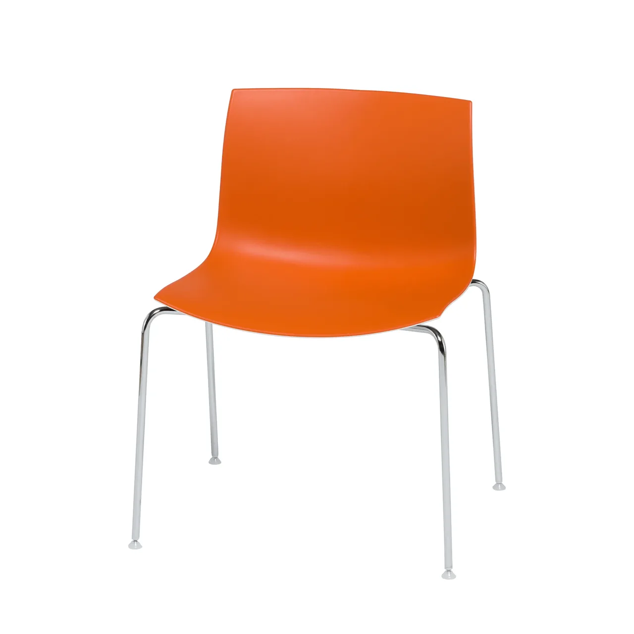 CATIFA 53 BICOLOR Ansicht 2