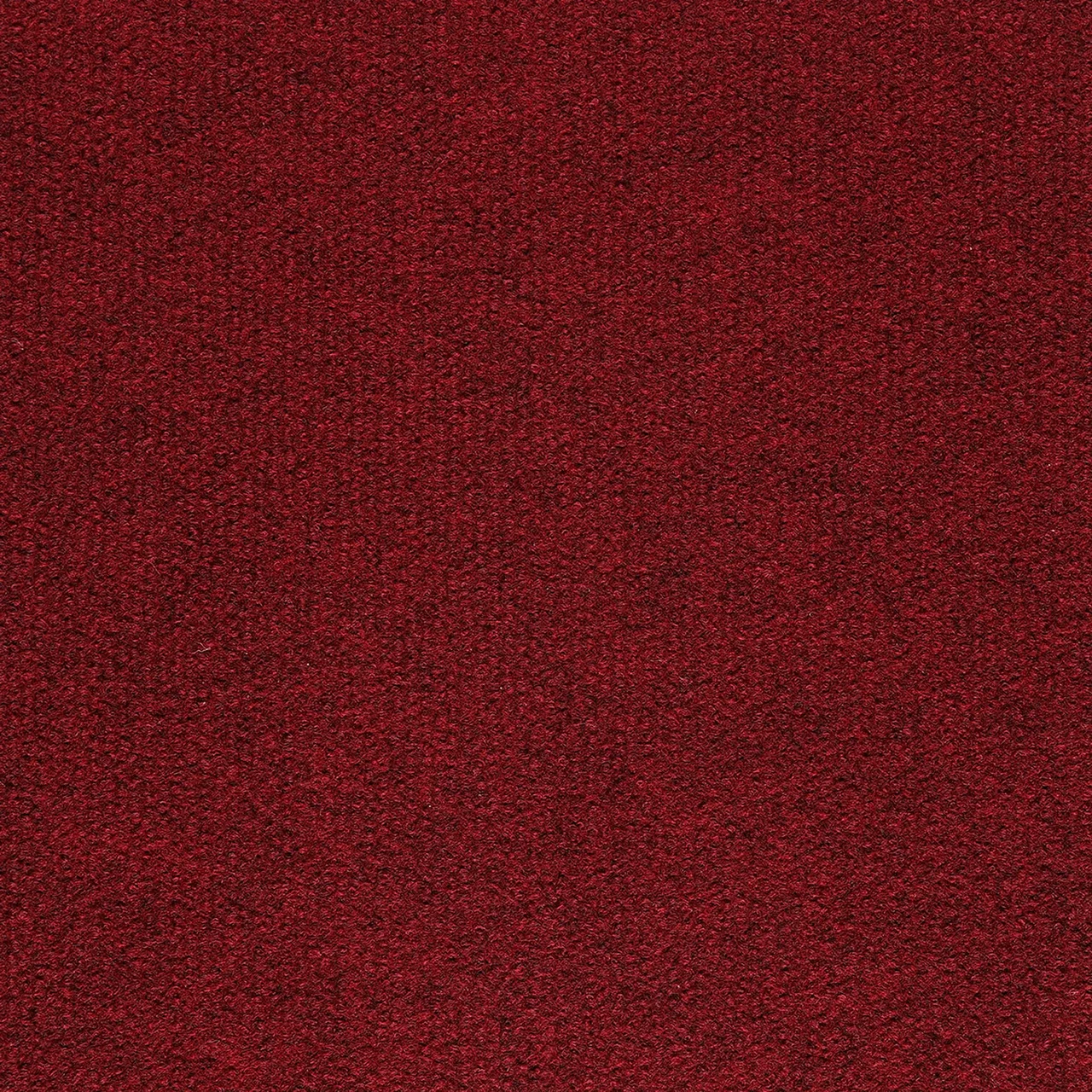 EURORIPS – m² Teppich Bahnenware