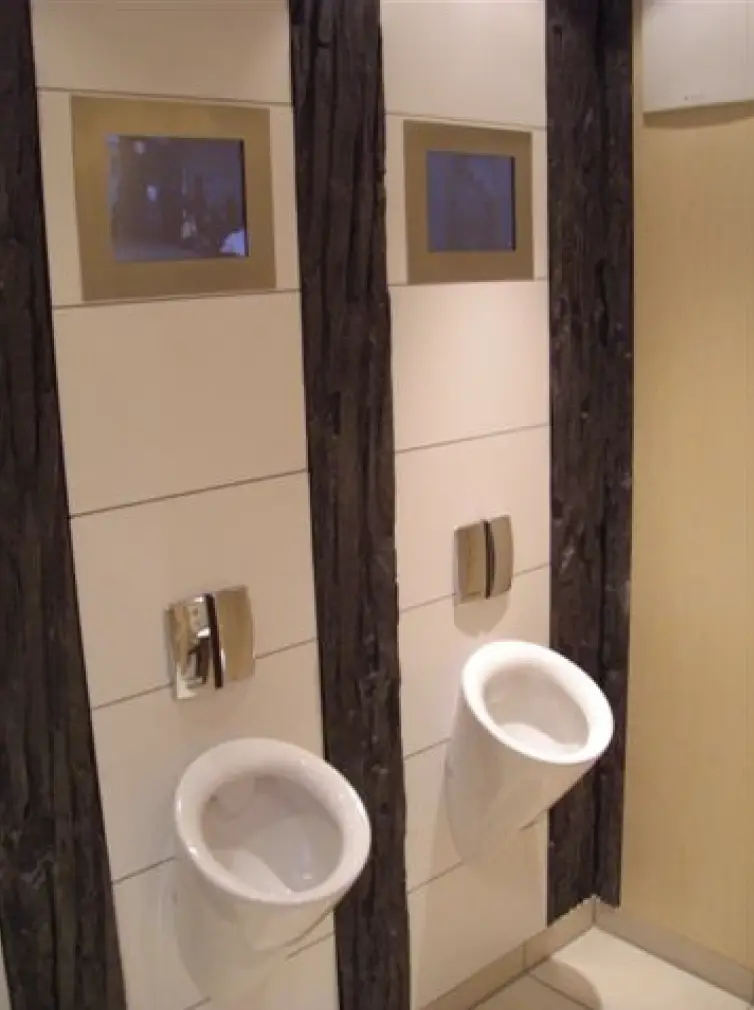 VIP-Toilettencontainer – Kabine mit Dusch-WC