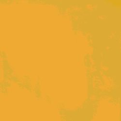 Eurosoft (m² Teppich Bahnenware)