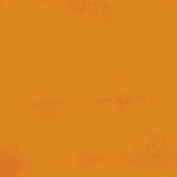 EUROSOFT (m² Teppich Bahnenware)