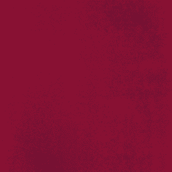 EUROSOFT (m² Teppich Bahnenware)